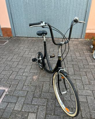 Bici farina