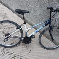 bicicletta da donna 