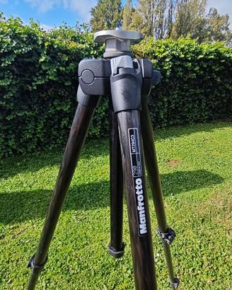 treppiede Manfrotto mt294c3