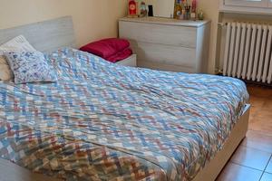 Ampia stanza singola libera dal 15/4/2026