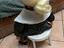 Immagine 2