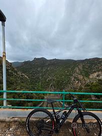 trek pro caliber 9.6