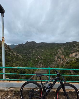 trek pro caliber 9.6