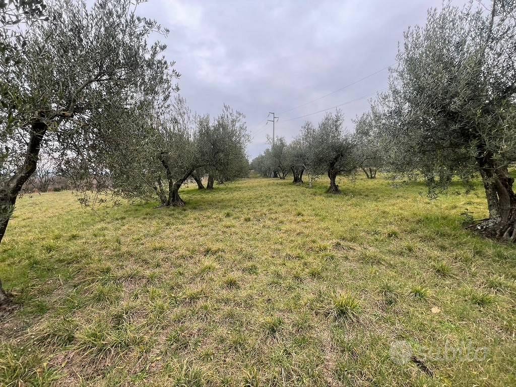 Terreno di 5000 m² a Viterbo - Vista 2