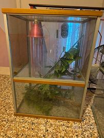 Teca in vetro per rettili