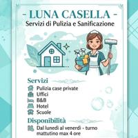 pulizie 