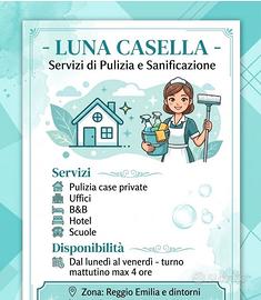 pulizie 