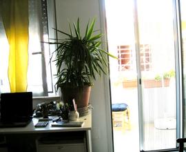 Cabras Appa già casa green pronto indipendente