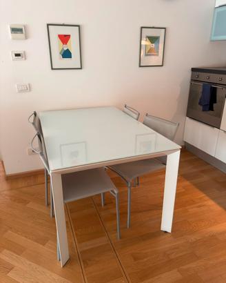 Tavolo da pranzo allungabile in vetro satinato
