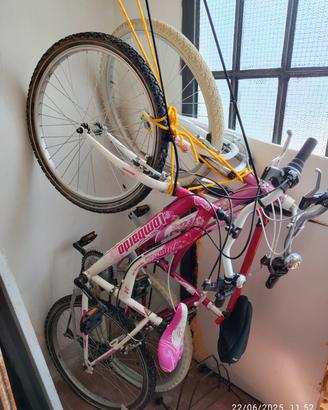 biciclette