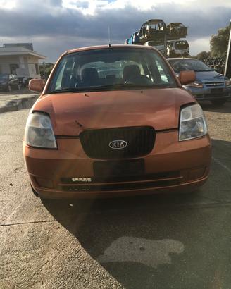 Ricambi Kia Piccantò lx colore ruggine