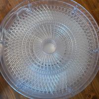 Essiccatore per alimenti