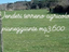 Immagine 1