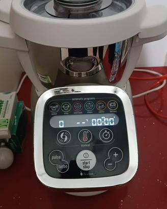 Moulinex companion