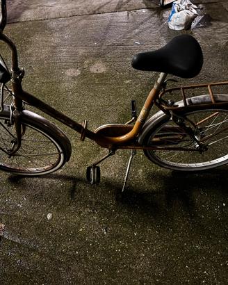 Bici pieghevole