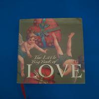 Libro "The Big Little Book of Love"