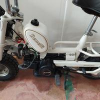 Benelli Altro modello - 1990