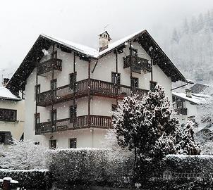 Appartamento a Primiero per stagione invernale