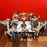 Lotto 15 Action Figures Wrestling WWE con Ring