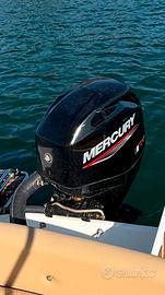 Mercury pro 40