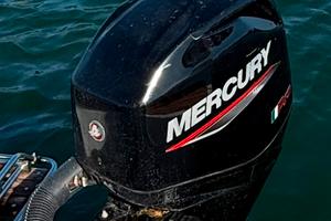 Mercury pro 40