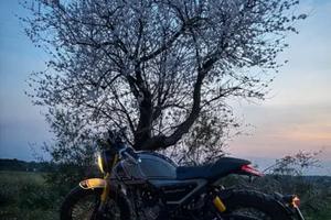 FB Mondial HPS 125