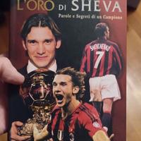 l' oro di sheva Serafini 