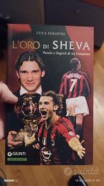 l' oro di sheva Serafini 