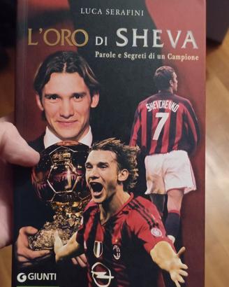 l' oro di sheva Serafini 