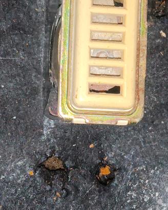 BTicino campanello ho ronzatore  12 Volt 