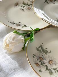 piatti dessert Richard Ginori Vintage Anni '70