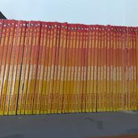 Collezione Ranma 1/2 in italiano 1 a 53.