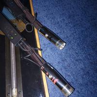 Cavo Audioquest Firebird XLR 0,5 Mt 