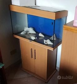 ACQUARIO CON MOBILE