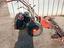 Immagine 2