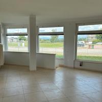 Zevio (VR) negozio con plateatico esterno