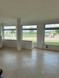 Zevio (VR) negozio con plateatico esterno