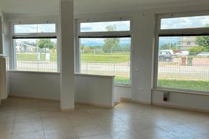 Zevio (VR) negozio con plateatico esterno