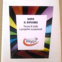 Dopo il diploma