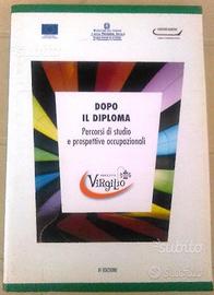 Dopo il diploma