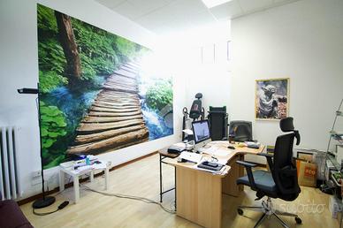 NEGOZIO A REGGIO NELL'EMILIA