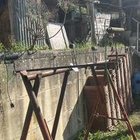 Piccioni addestrati e rulli con cavo elettrico