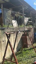 Piccioni addestrati e rulli con cavo elettrico