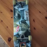 skateboard professionale 