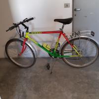 Bicicletta mountain bike