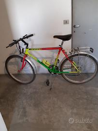 Bicicletta mountain bike