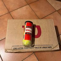 Palline padel wilson rush