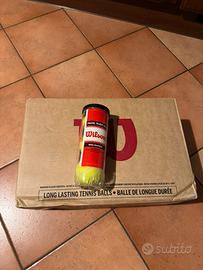 Palline padel wilson rush