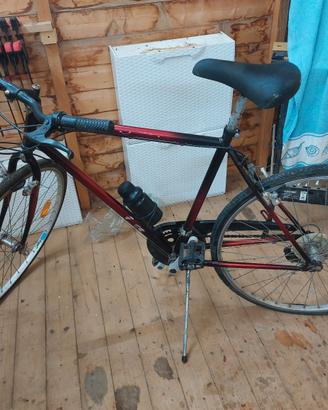 bici da corsa 