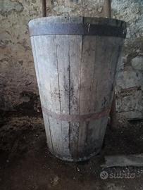 Bigongi Bigonze Bigonzi per uva